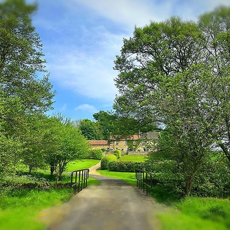 Old Orchard Cottage, Wykeham Scarborough Bagian luar foto